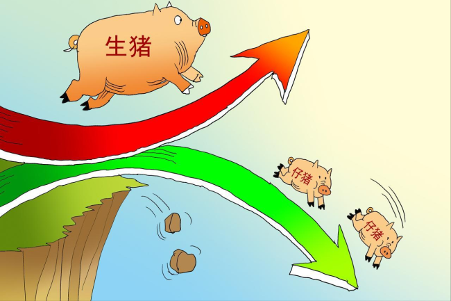7月30日猪价下跌，市场供需调整